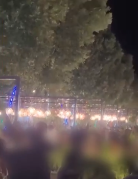 Cerca de 500 samambaias são furtadas em festival de música na Bahia por Divulgação