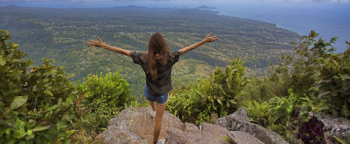 Viagem por Reprodução
