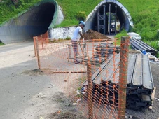 Imagem - Tráfego em rodovia baiana é interditado por tempo indeterminado