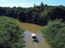 Imagem - Maior delta fluvial das Américas está no Brasil e pode ser visitado de barco