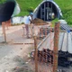 Imagem - Tráfego em rodovia baiana é interditado por tempo indeterminado