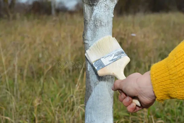 Árvores pintadas de branco por Reprodução