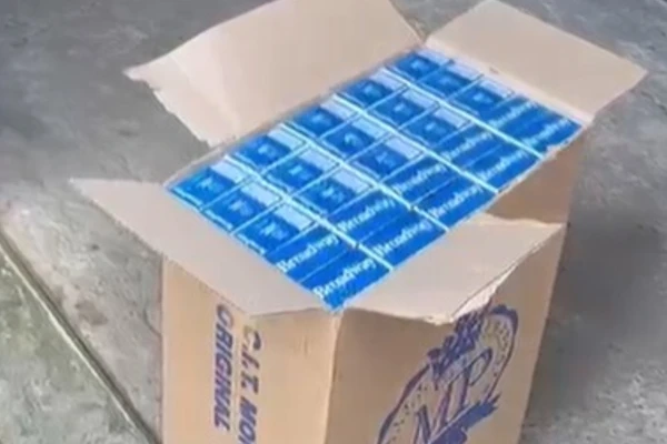 Cigarros incinerados por Divulgação/Polícia Civil