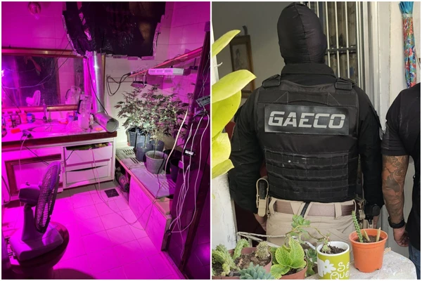 Operação mirou quadrilha
