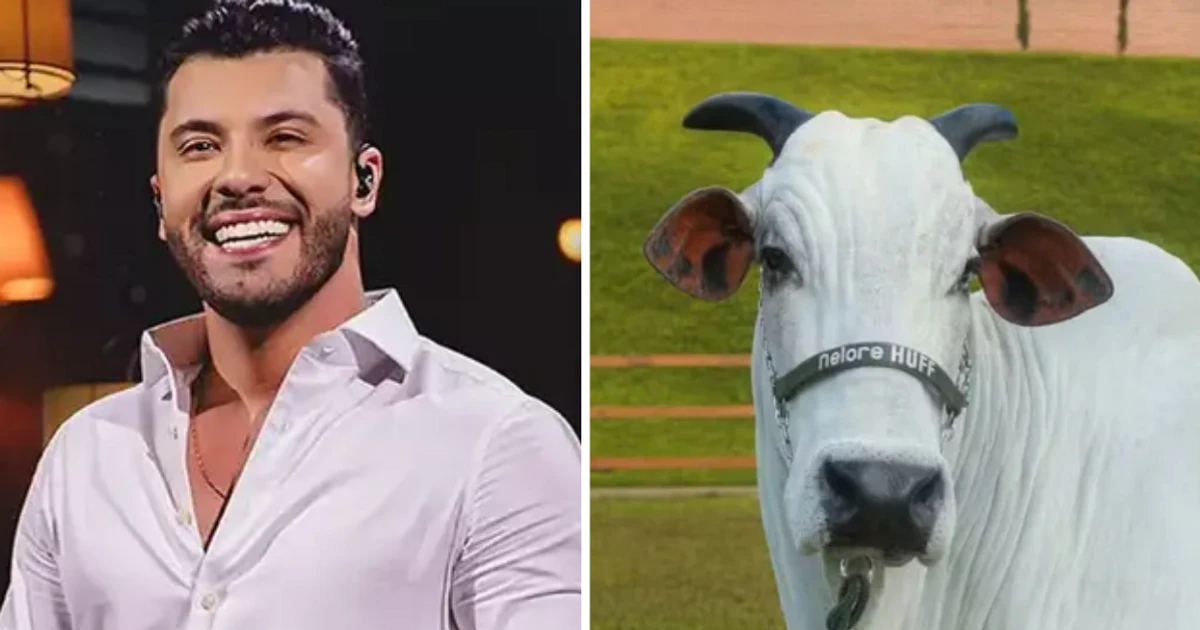 Imagem - Murilo Huff compra vaca por R$ 17 milhões um mês após conquistar guarda de filho herdeiro