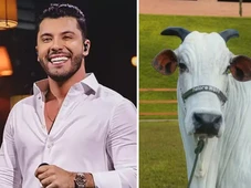 Imagem - Murilo Huff compra vaca por R$ 17 milhões um mês após conquistar guarda de filho herdeiro