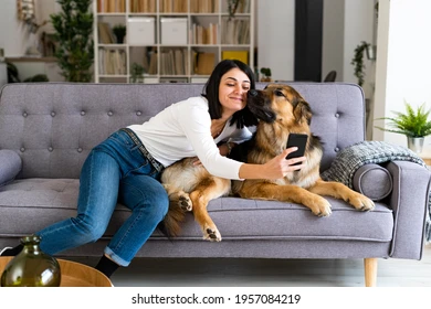 Mantenha o sofá bem cuidado mesmo com crianças e pets em casa por Shutterstock