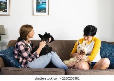 Mantenha o sofá bem cuidado mesmo com crianças e pets em casa por Shutterstock