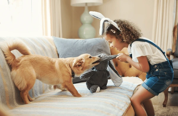 Mantenha o sofá bem cuidado mesmo com crianças e pets em casa por Shutterstock