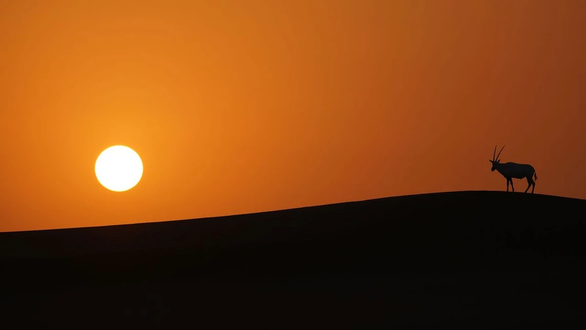 O que atrai os turistas para o deserto de Dubai por Divulgação