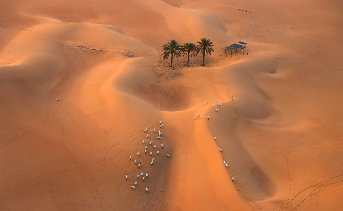 O que atrai os turistas para o deserto de Dubai por Divulgação