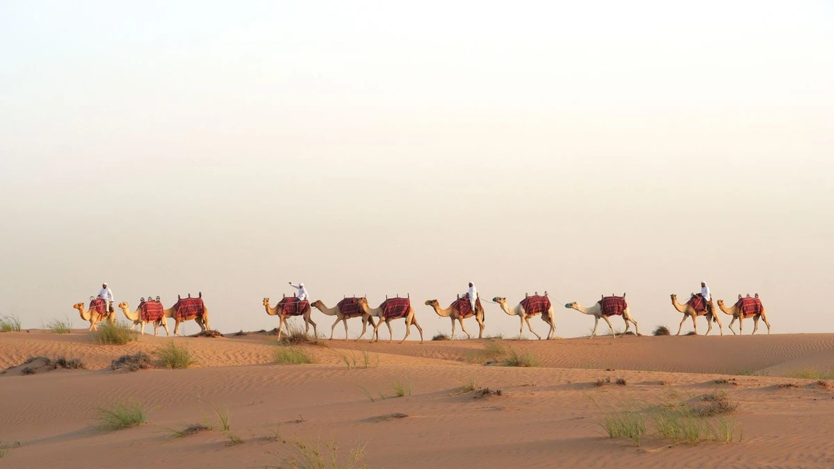 O que atrai os turistas para o deserto de Dubai por Divulgação
