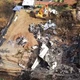 Imagem - Avião da Voepass que caiu matando 62 teve falha no sistema de degelo antes de decolar, diz site