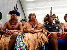 Imagem - Justiça reconhece direito de Pataxós à área de fazenda no sul da Bahia