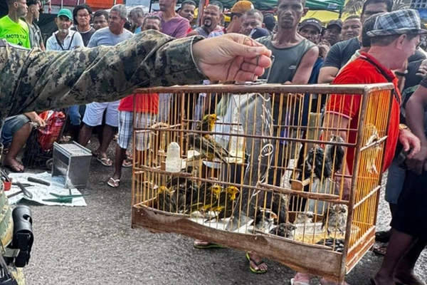 Aves silvestres são resgatadas em Camaçari por Reprodução/COPPA