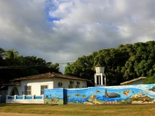 Imagem - Instituto anuncia vagas de agente ambiental para Bahia, com salários de até R$ 2,5 mil