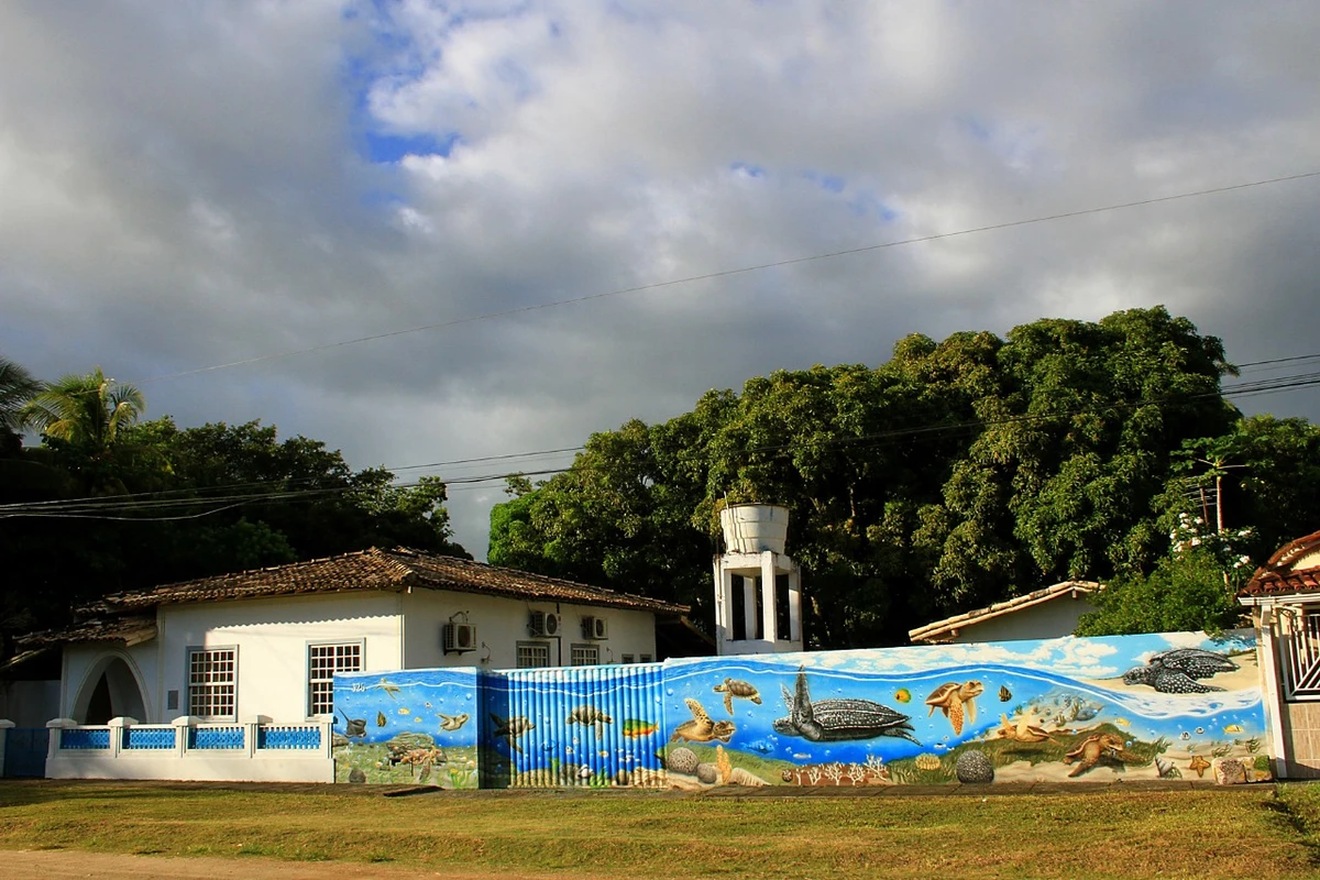 Centro TAMAR em Caravelas, na Bahia