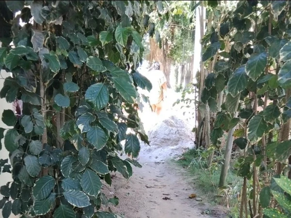 Facção invadiu casa e baleou irmãos por Reprodução