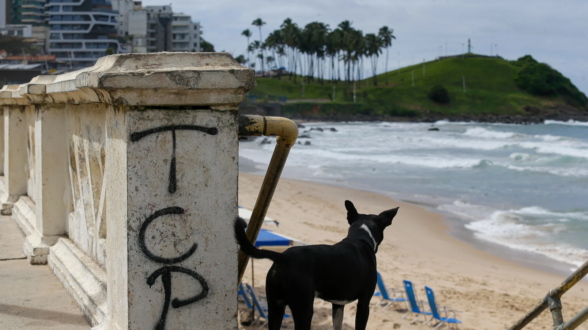 Imagem - Saiba quais as facções que dominam os cartões postais de Salvador