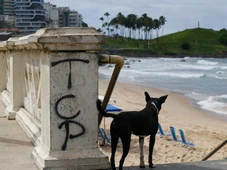Imagem - Saiba quais as facções que dominam os cartões postais de Salvador