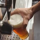 Imagem - Ingrediente da cerveja faz bem para a saúde; entenda descoberta