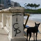 Imagem - TCP na Barra: facção picha balaustradas e acende alerta em cartão postal de Salvador