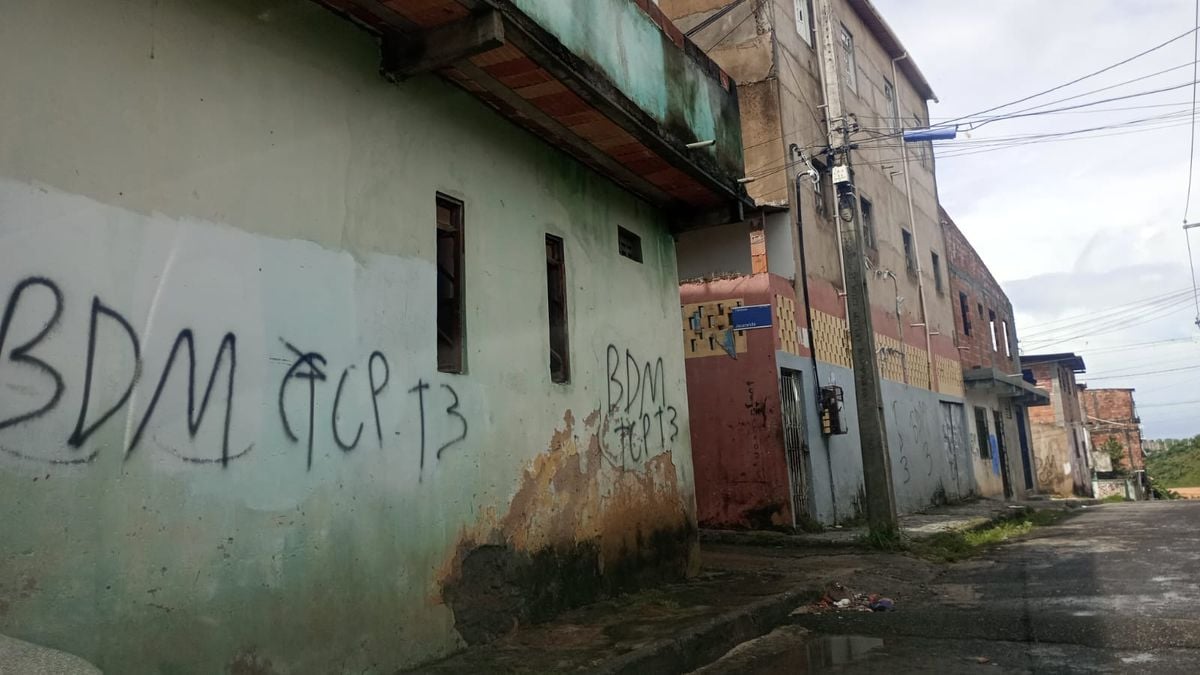 BDM e TCP têm aliança em Salvador por Reprodução