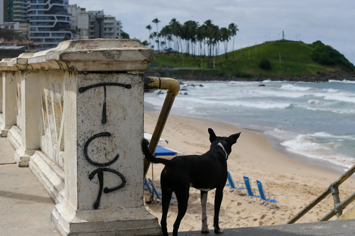 Marcas do TCP estão em balaustradas na Barra