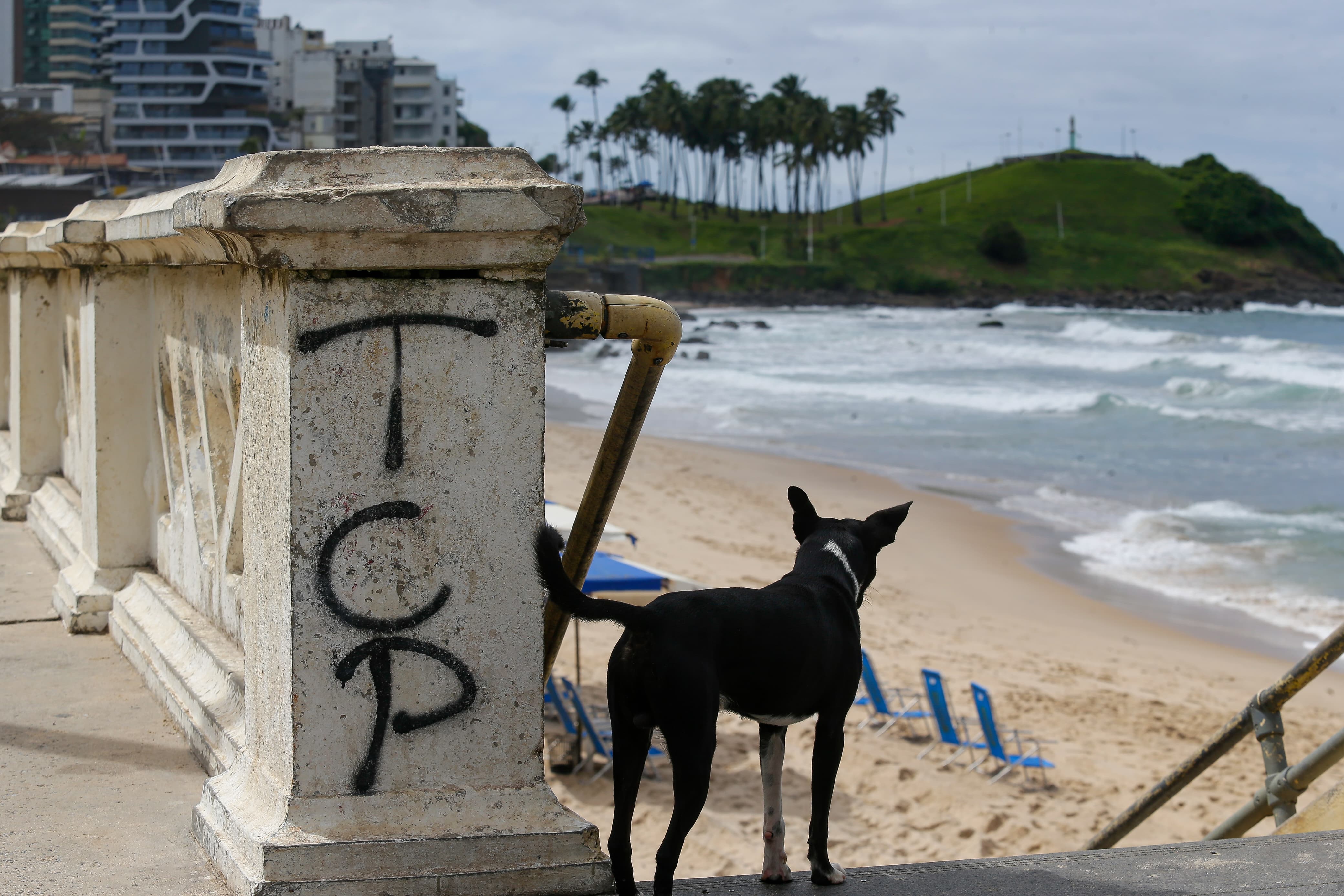 Marcas do TCP estão em balaustradas na Barra por Arisson Marinho/CORREIO