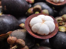 Imagem - Melhor fruta do mundo pode ser plantada facilmente em casa
