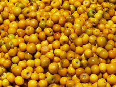 Imagem - Murici: a 'fruta de ouro' que você precisa conhecer