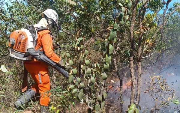 Agente combate incêndio no oeste do estado