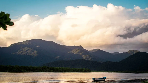Entre trilhas, golfinhos e praias intocadas, a Ilha do Cardoso é um refúgio para quem quer fugir da rotina