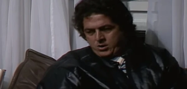 Stepan Nercessian em Vale Tudo  por Reprodução