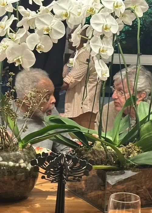 Caetano Veloso e Gilberto Gil  por Reprodução/Redes Sociais 