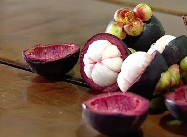 Mangostão passou a ser cultivado inclusive no Brasil por /Atlas Reprodução