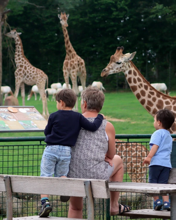 Zoológico por Reprodução | Facebook