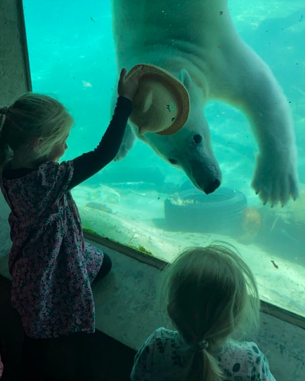 Zoológico por Reprodução | Facebook