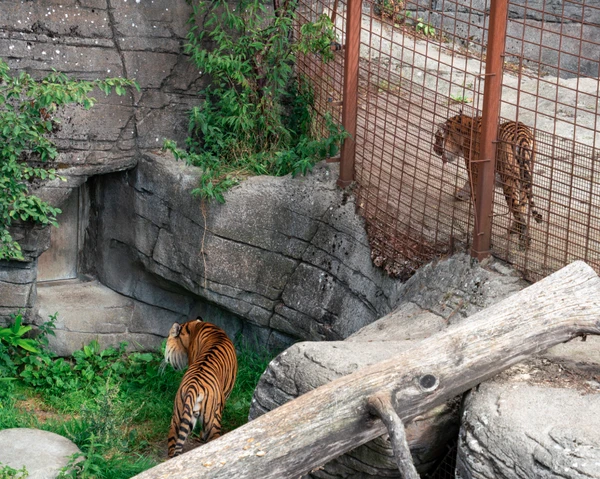 Zoológico por Reprodução | Facebook