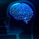 Imagem - 5 hábitos para turbinar o cérebro, segundo a neurociência