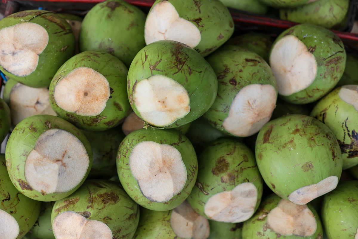 A Bahia deixou de ser o maior produtor de coco do Brasil por Marina Silva/CORREIO