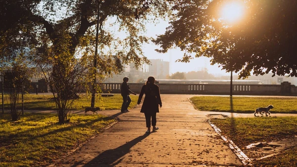 Caminhar todos os dias e a importância de manter um ritmo constante para melhores resultados