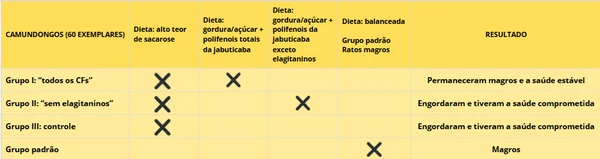 Resultados da pesquisa em laboratório