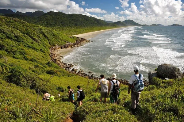 Ilha do Cardoso, paraíso escondido por Divulgação