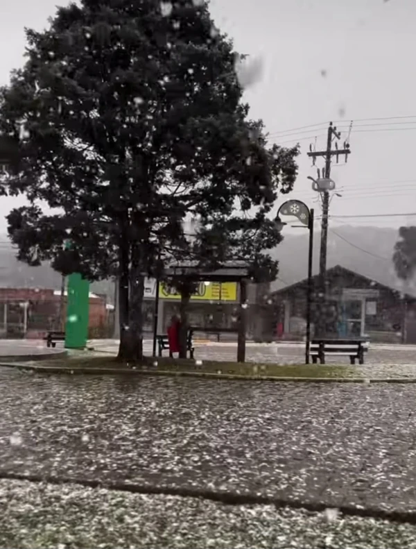 Neve volta a cair em duas cidades brasileiras e sensação térmica fica abaixo de 0º por Reprodução