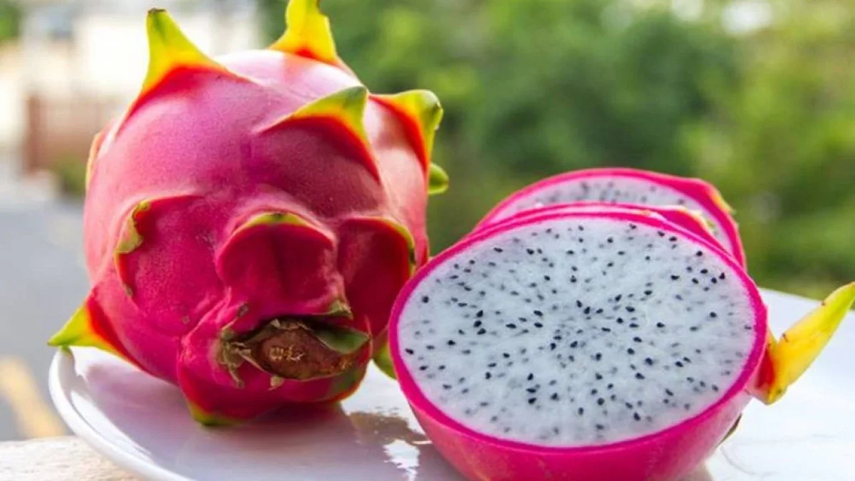 Pitaya por Shutterstock e Reprodução