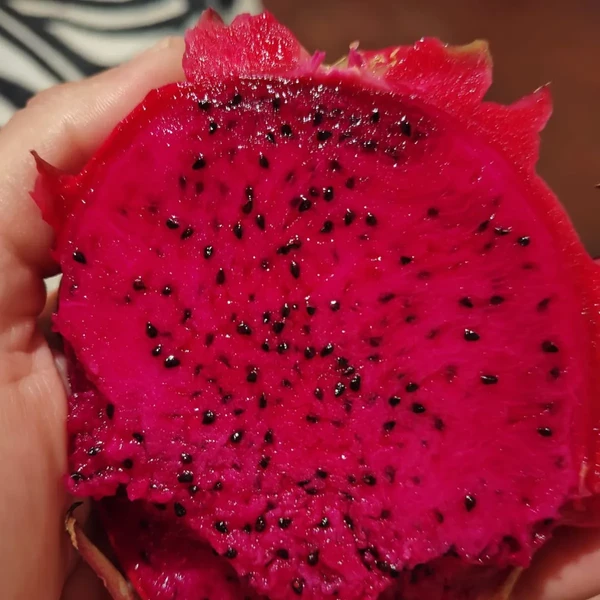 Pitaya por Shutterstock e Reprodução