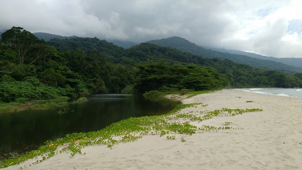 Praia de Castelhanos por Reprodução