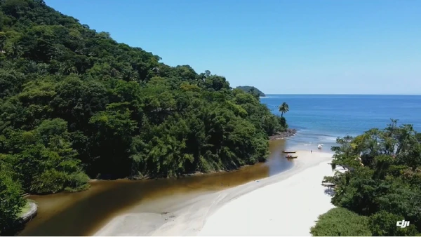 Do surf ao relaxamento: 10 experiências únicas onde mar e rio se encontram no litoral paulista