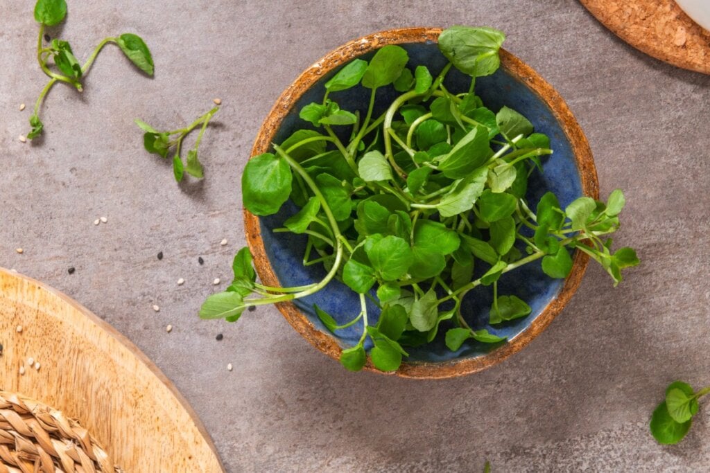 O agrião é um vegetal verde-escuro rico em vitamina C, que reforça o sistema imunológico (Imagem: homydesign | Shutterstock)